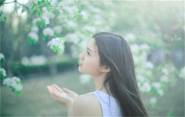 晋州验血查男女几周可以验(验血查男女结果图)